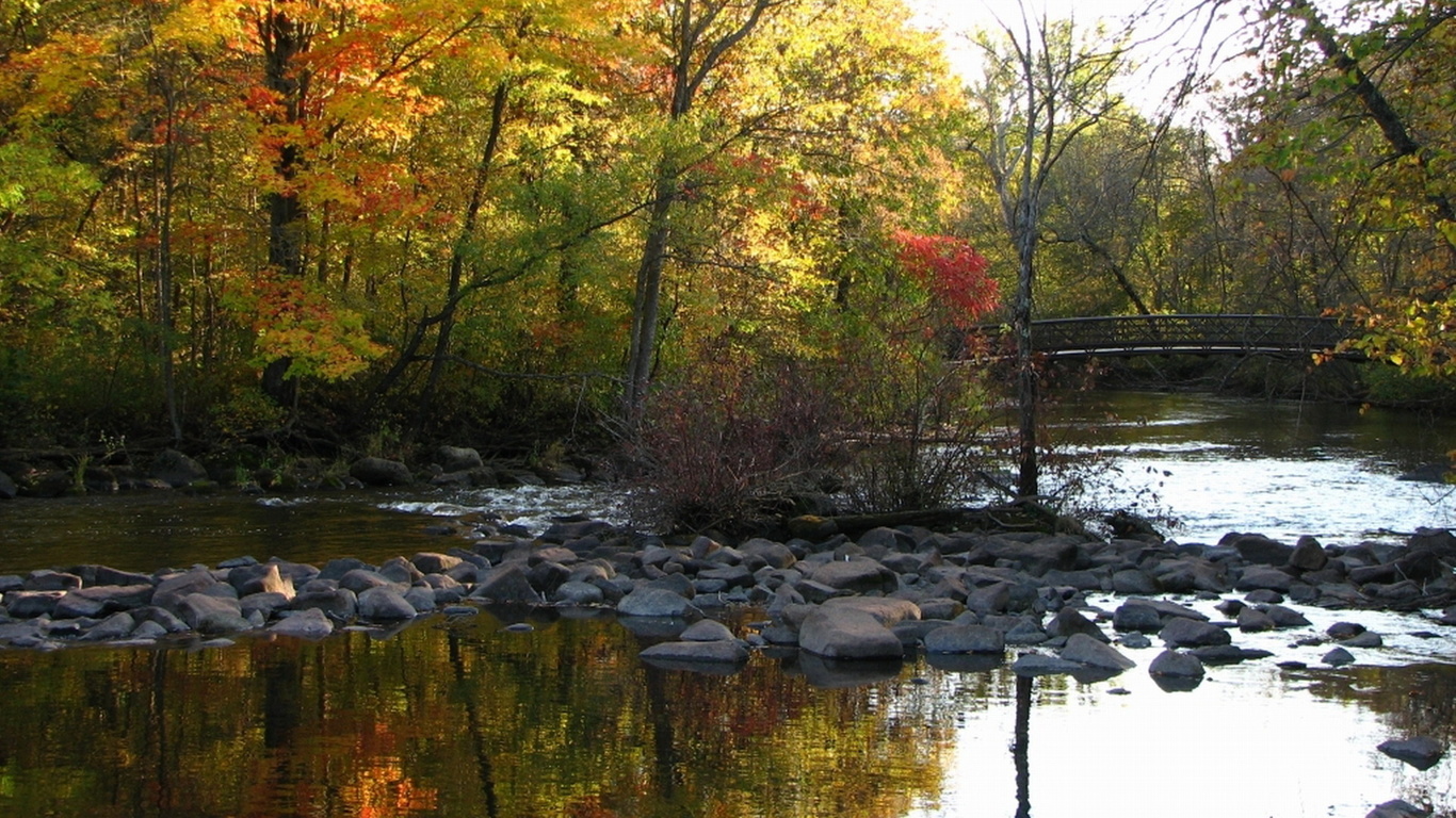 rocks, water, forest, bridge