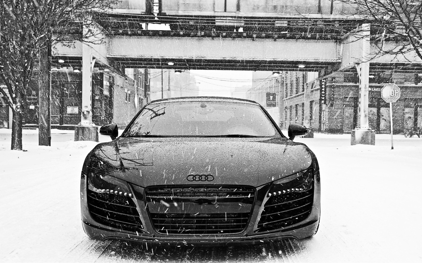 audi r8, audi, r8, black