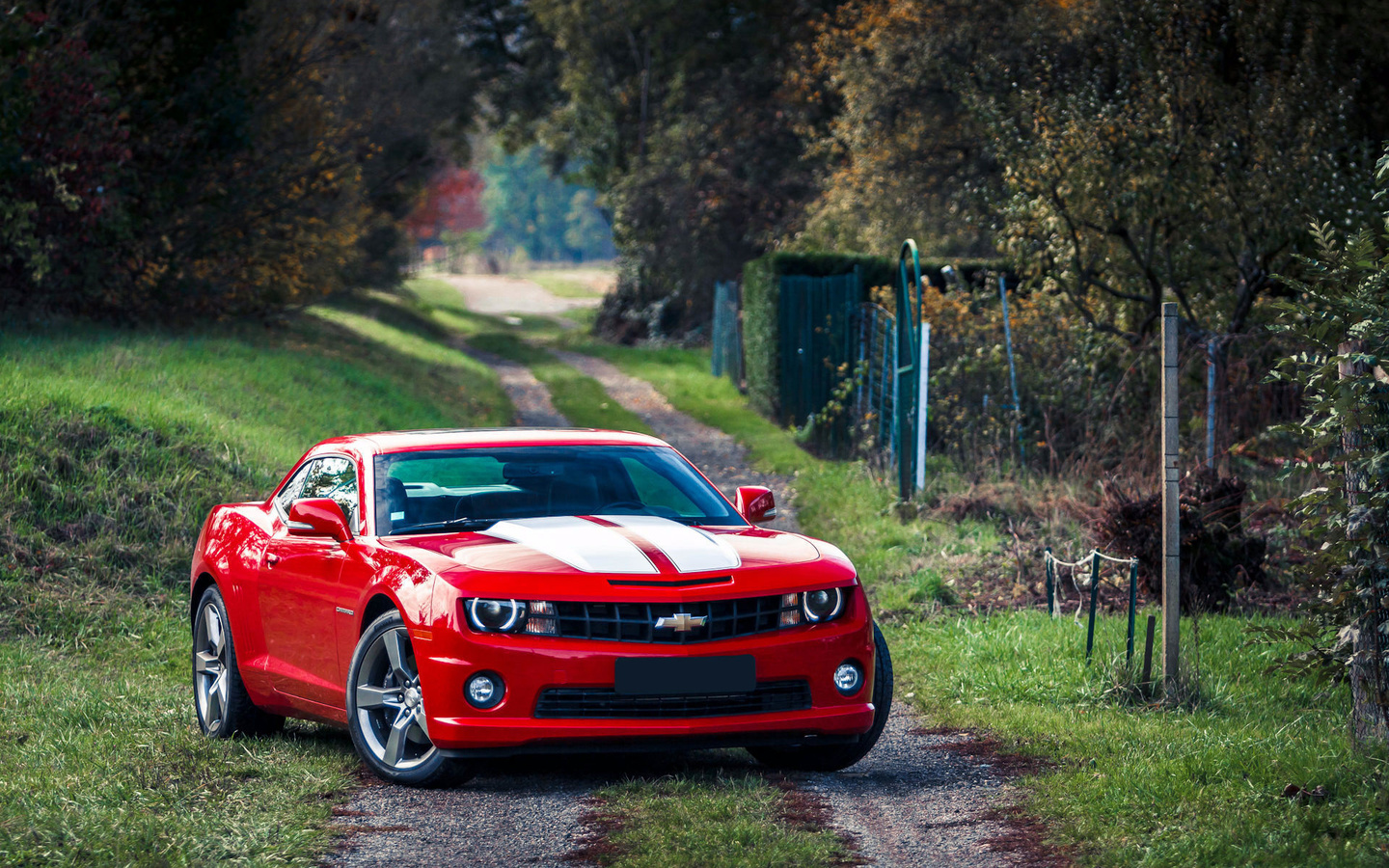 , Chevrolet camaro, red,  , muscle car, , 