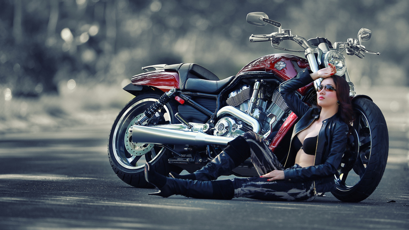 , Harley-davidson, , 