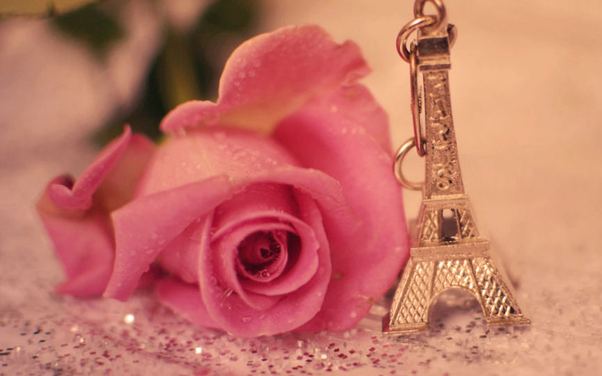 Фото розы эйфелева башня