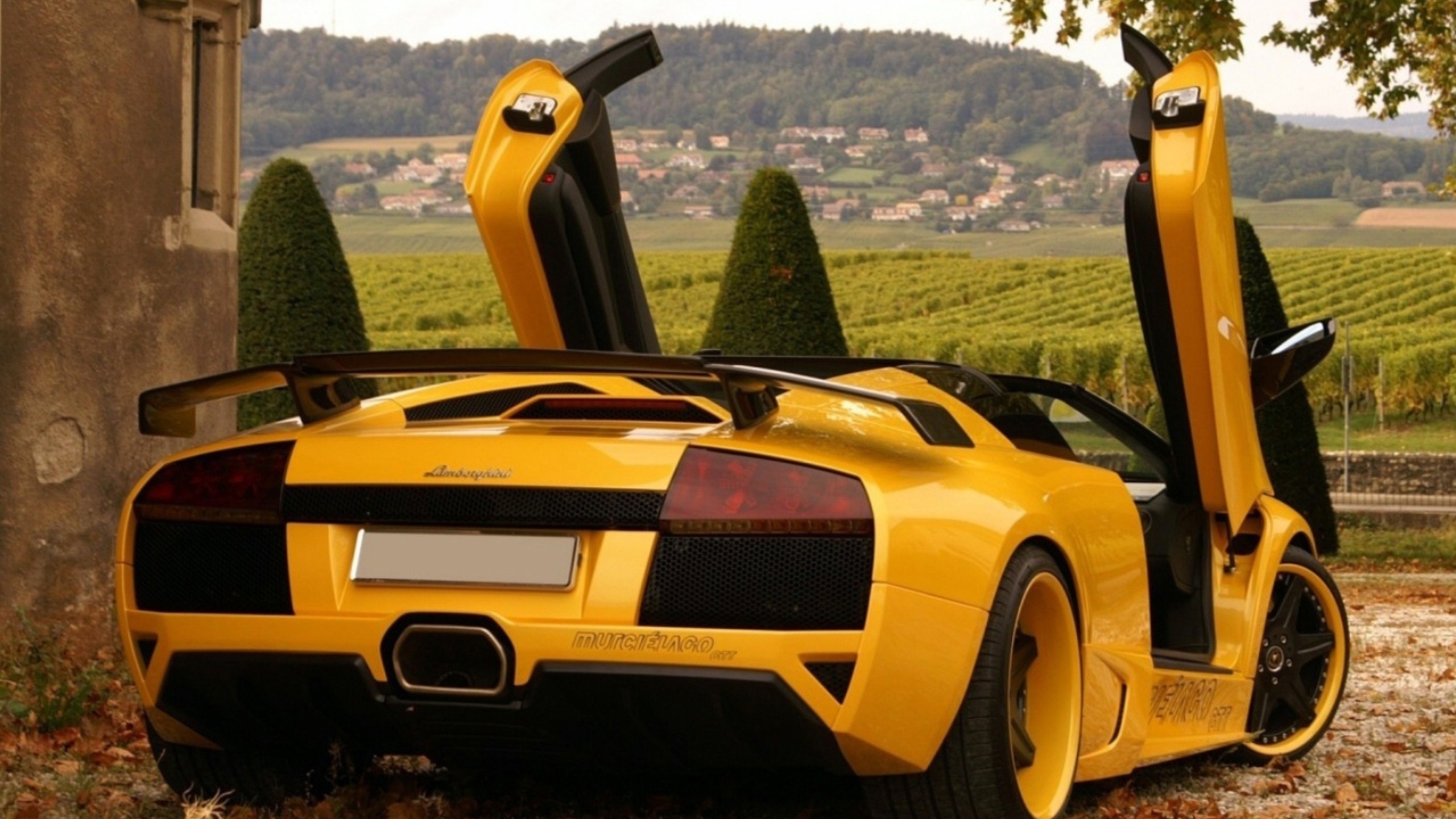 lamborghini murcielago, lamborghini, murcielago, , cabriolet, , , , 