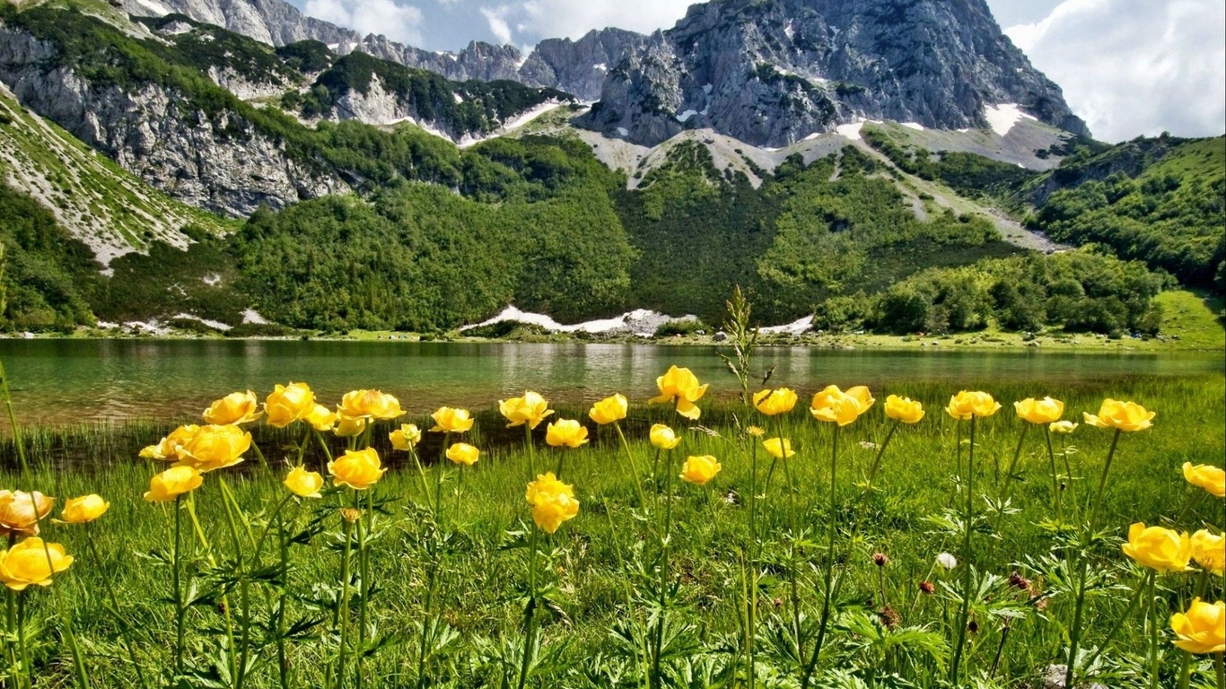 Красивые пейзажи фото природы с луговыми цветами