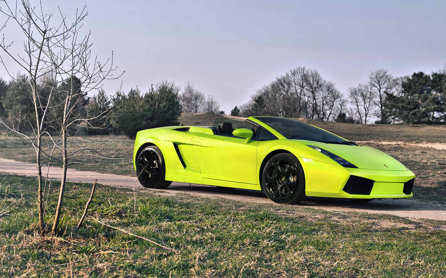 lamborghini gallardo spider, lamborghini, gallardo, spider, , , 