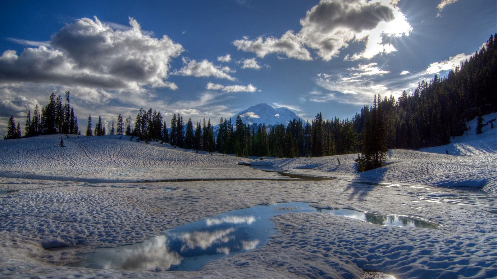 tipsoo lake, mount rainier, national park, washington, ,  , , 