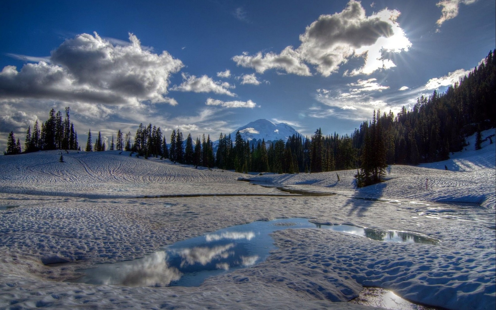 tipsoo lake, mount rainier, national park, washington, ,  , , 