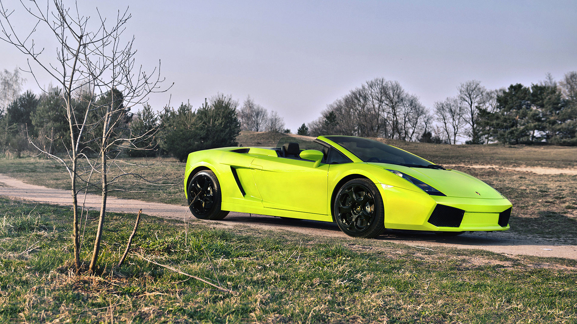 lamborghini gallardo spider, lamborghini, gallardo, spider, , , 