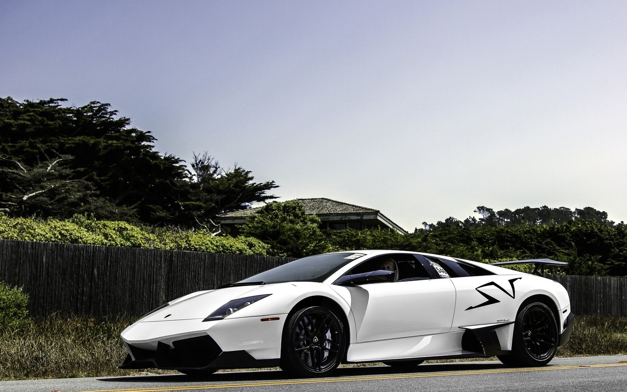 , , white, Lamborghini, murcielago, , lp670-4 sv