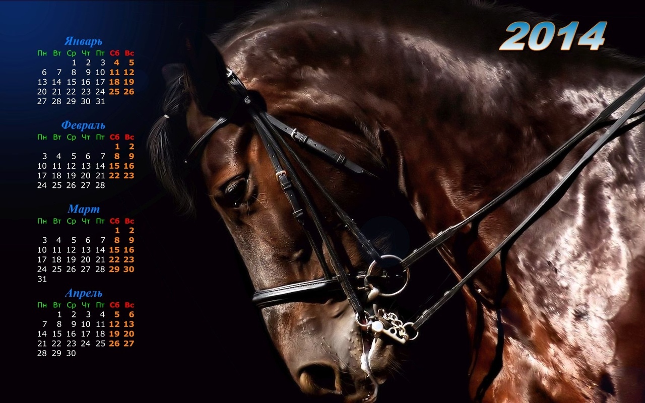Календарь лошади 2014