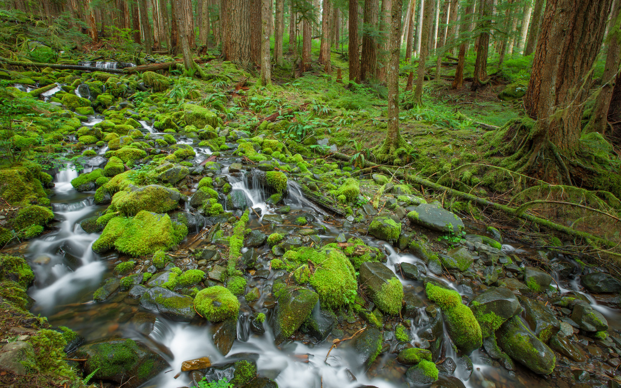 , , , , , Olympic national park