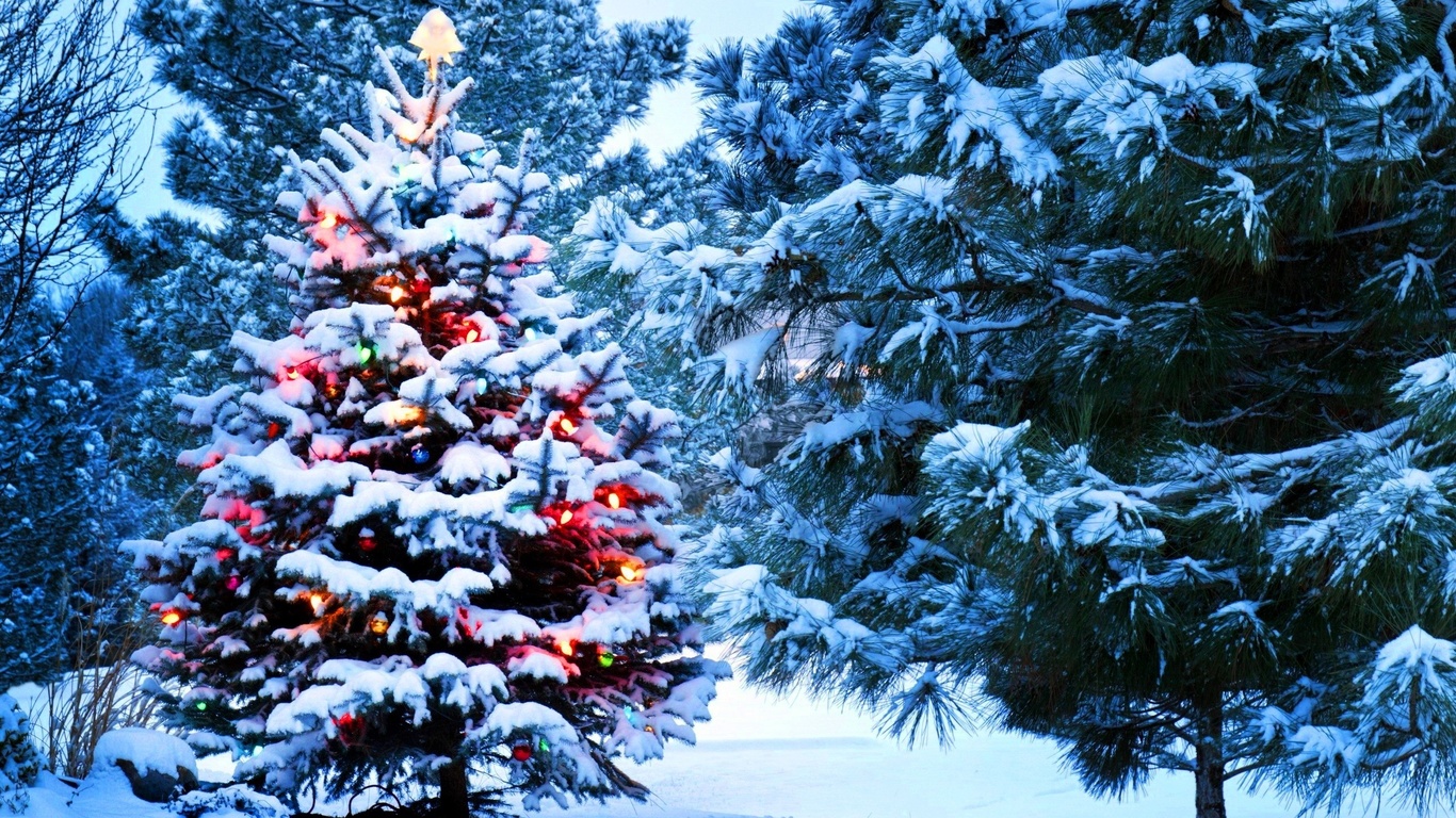 christmas, snow, holidays, new year, santa, tree, lights, nature