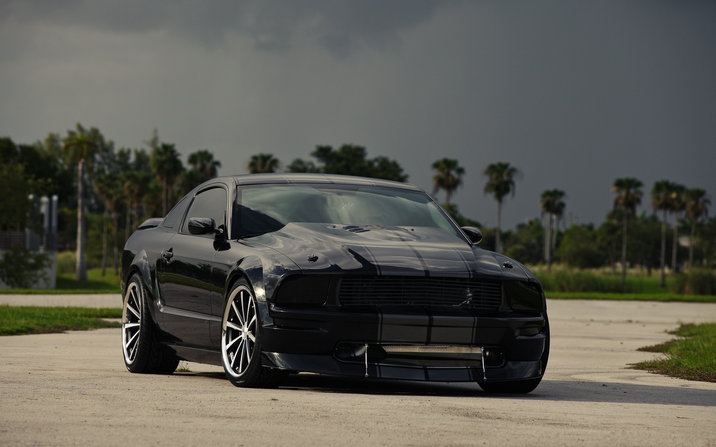 , , black, Ford, , , , mustang