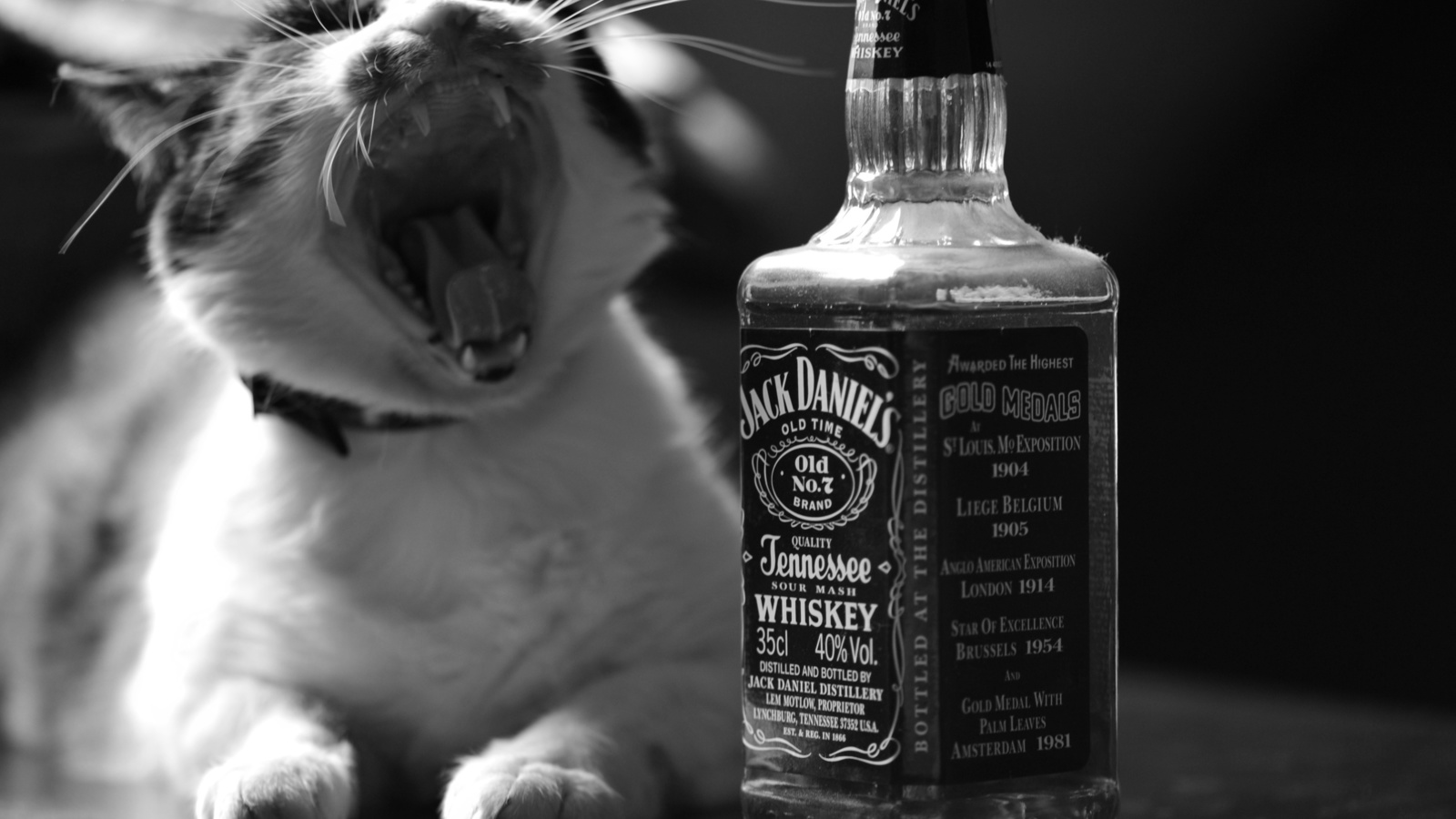 , , -, jack daniels, , , , , , 