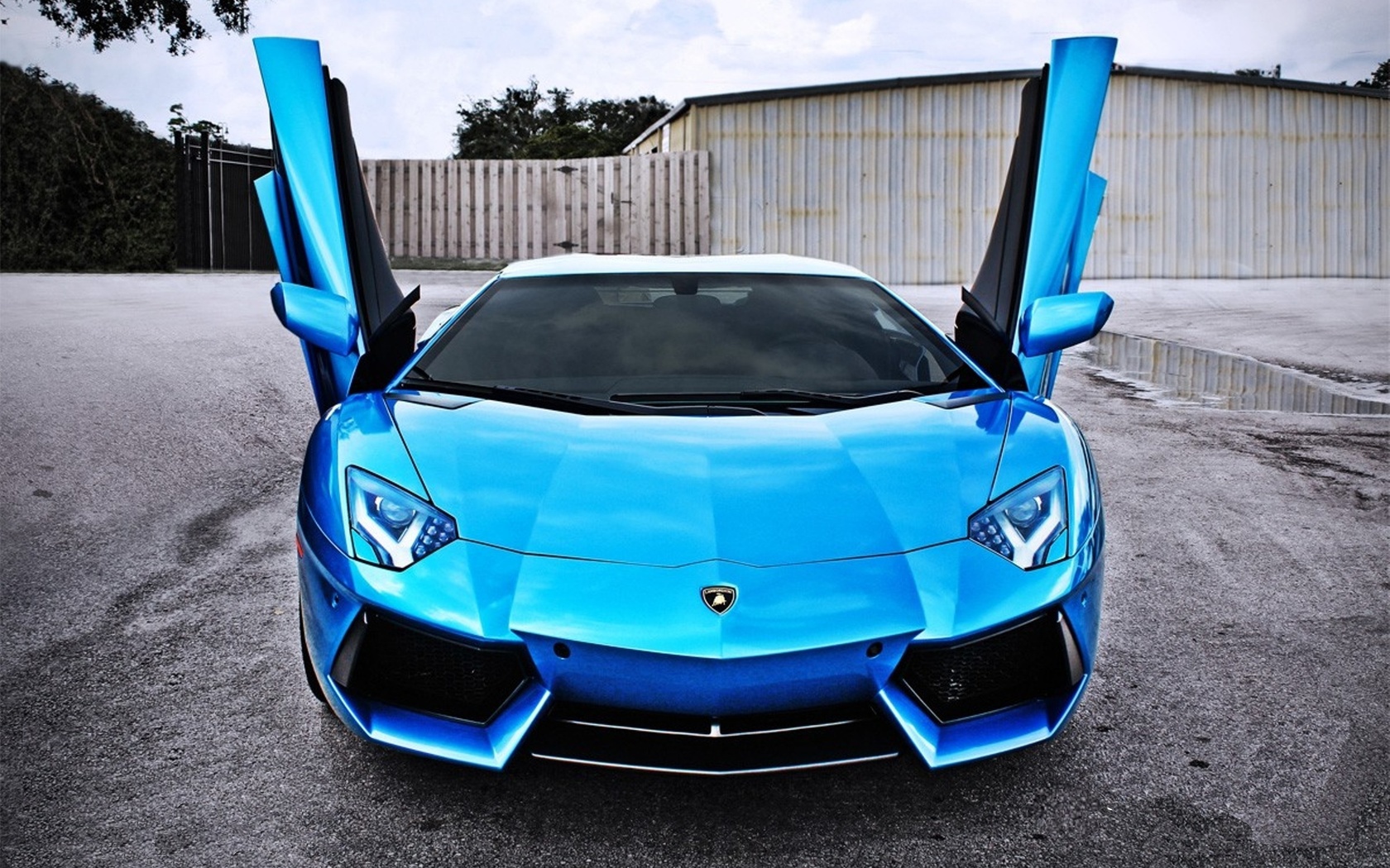 Lamborghini, door, aventador, car, , lp700-4, blue, 