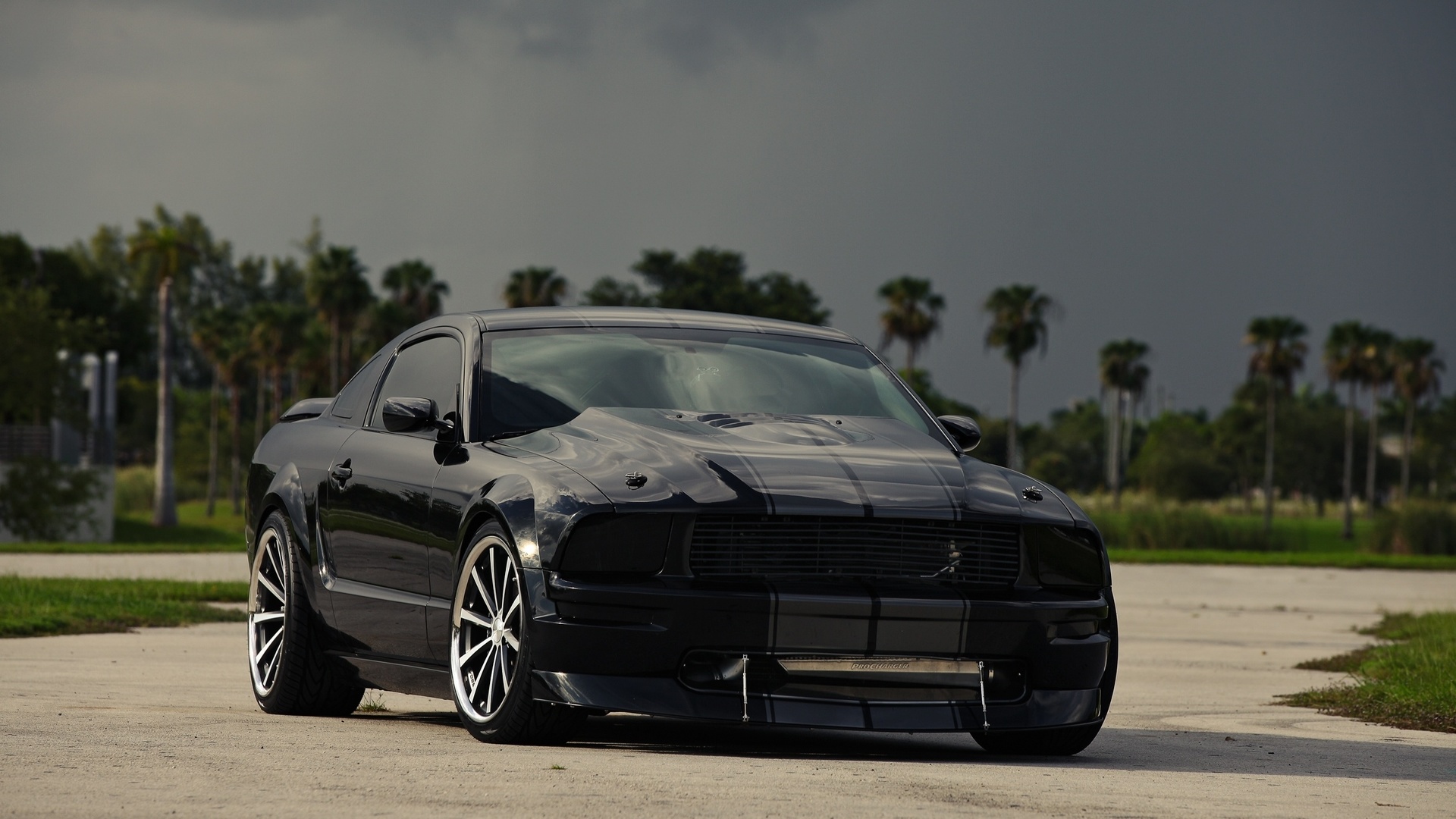 , , black, Ford, , , , mustang