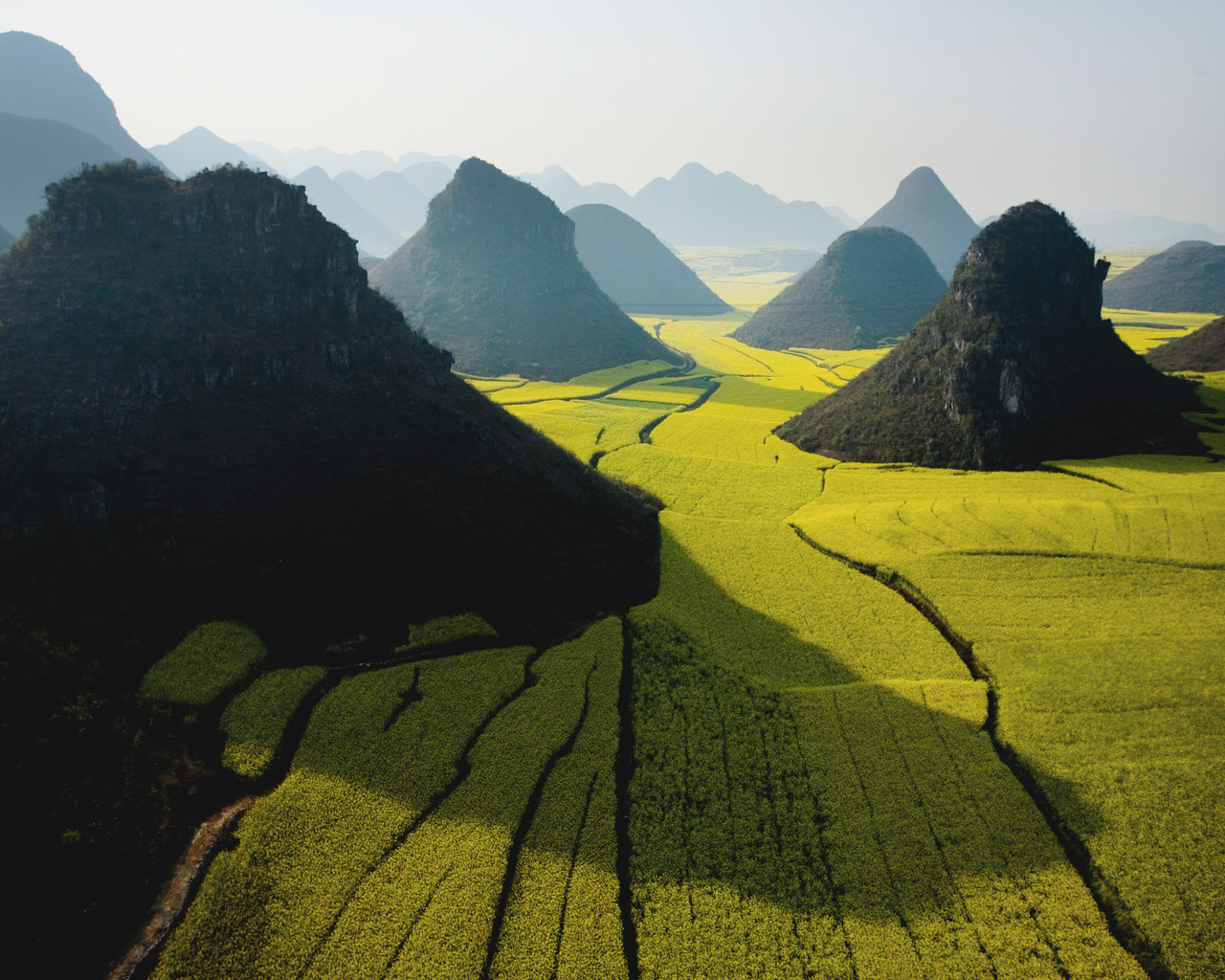 sky, mountain, field, apple, Green, wide