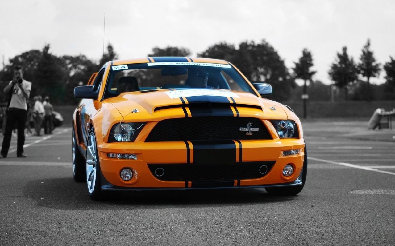 , shelby, mustang, super cars, ford