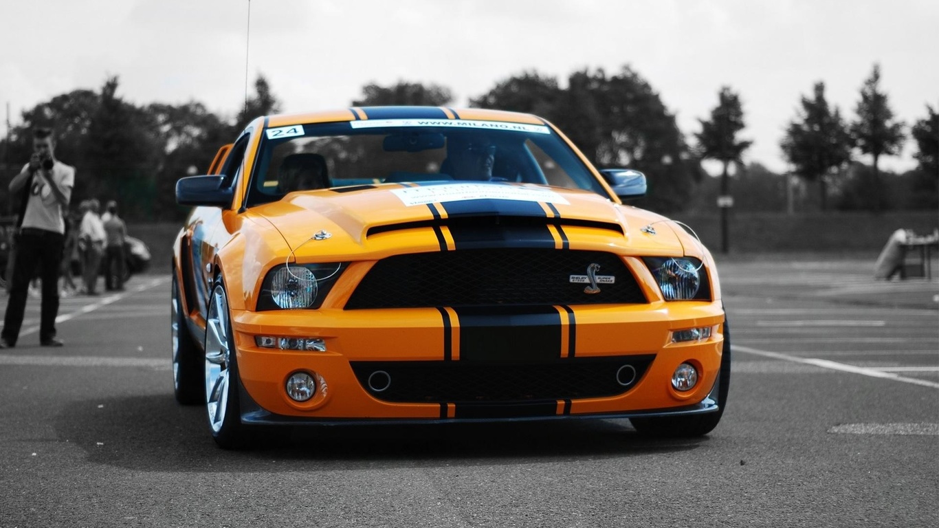 , shelby, mustang, super cars, ford