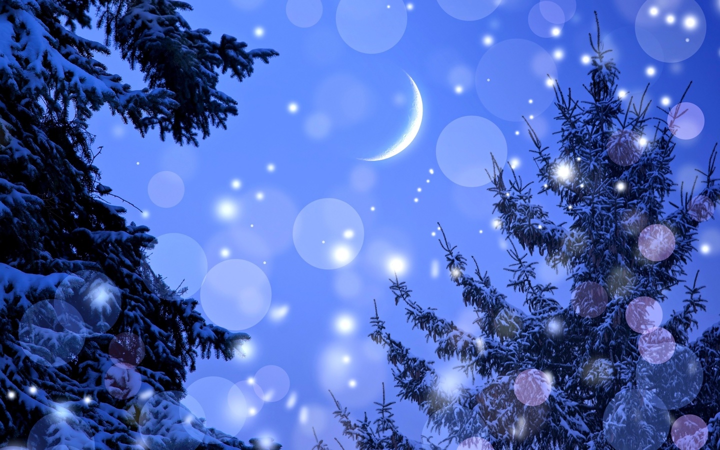 winter, landscape, sky, nght, stars, 