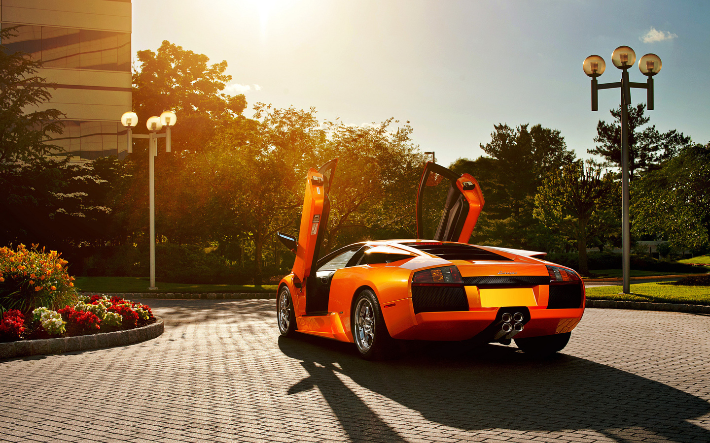 Lamborghini, murcielago, orange, , , 