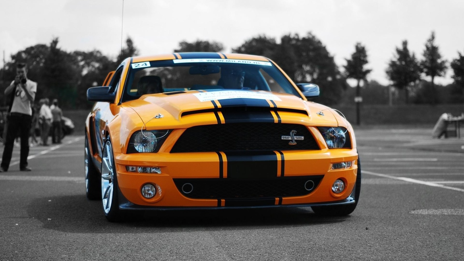 , shelby, mustang, super cars, ford