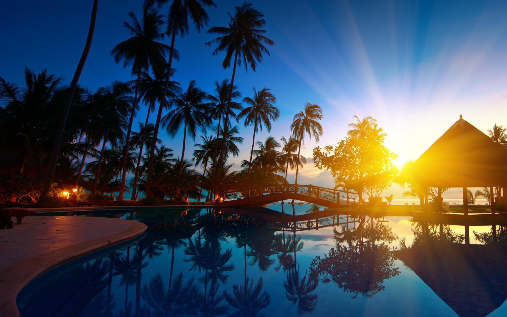 trees, , nature, , paradise, bridge, seawater, palms, Sunrise, thailand