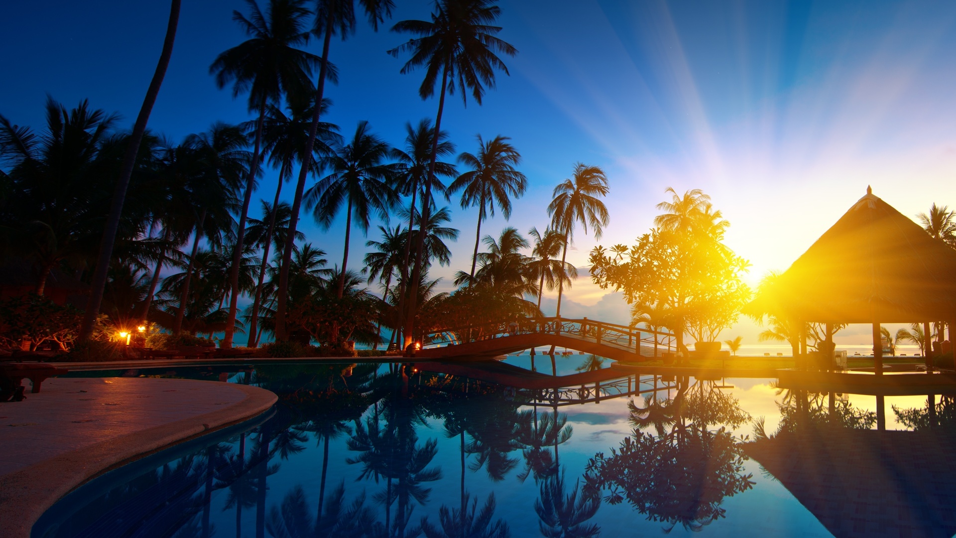 trees, , nature, , paradise, bridge, seawater, palms, Sunrise, thailand