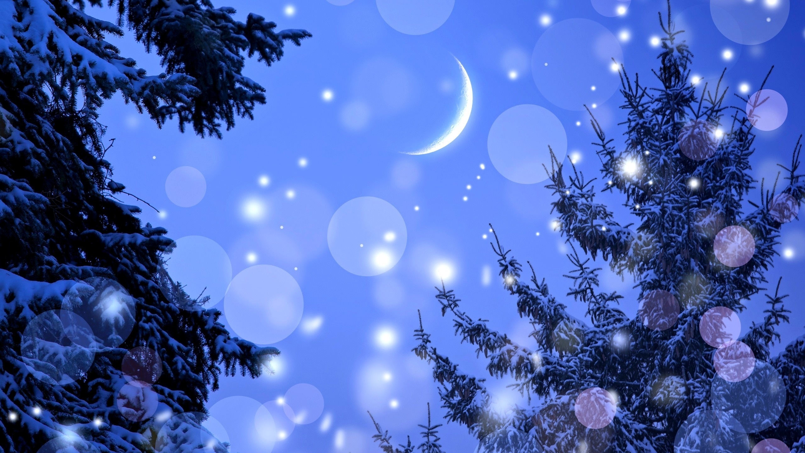 winter, landscape, sky, nght, stars, 