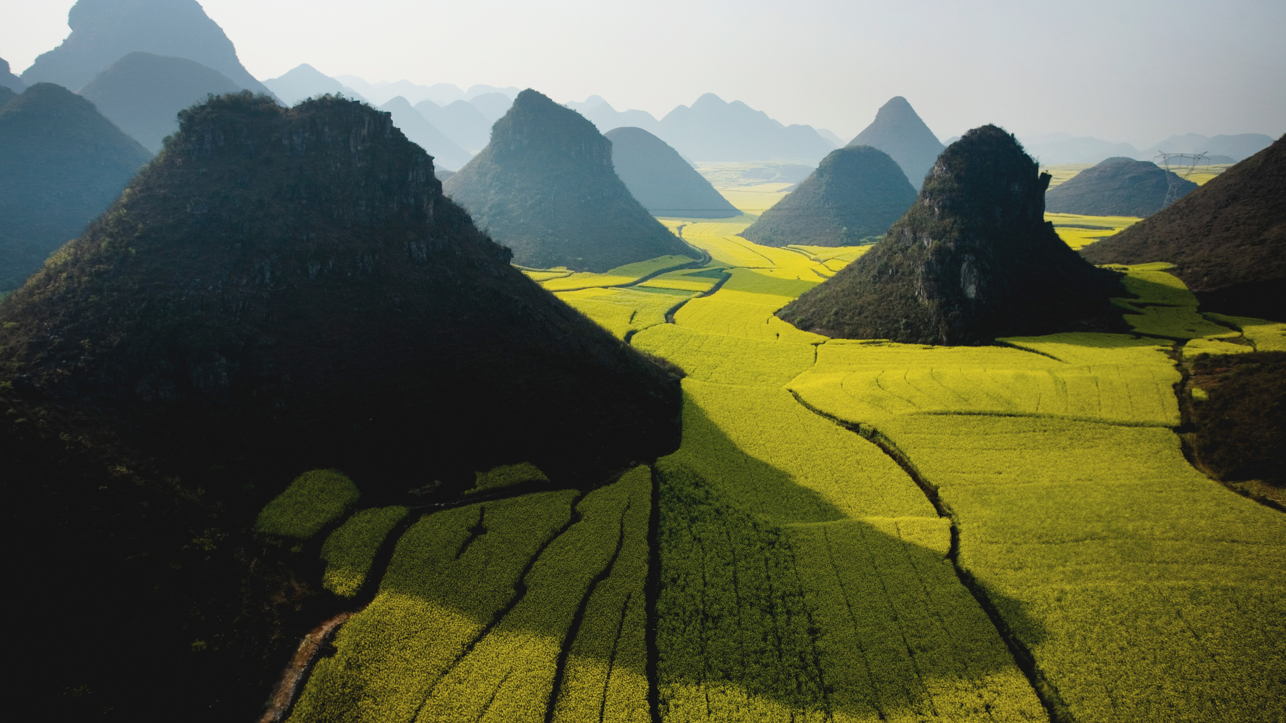 sky, mountain, field, apple, Green, wide