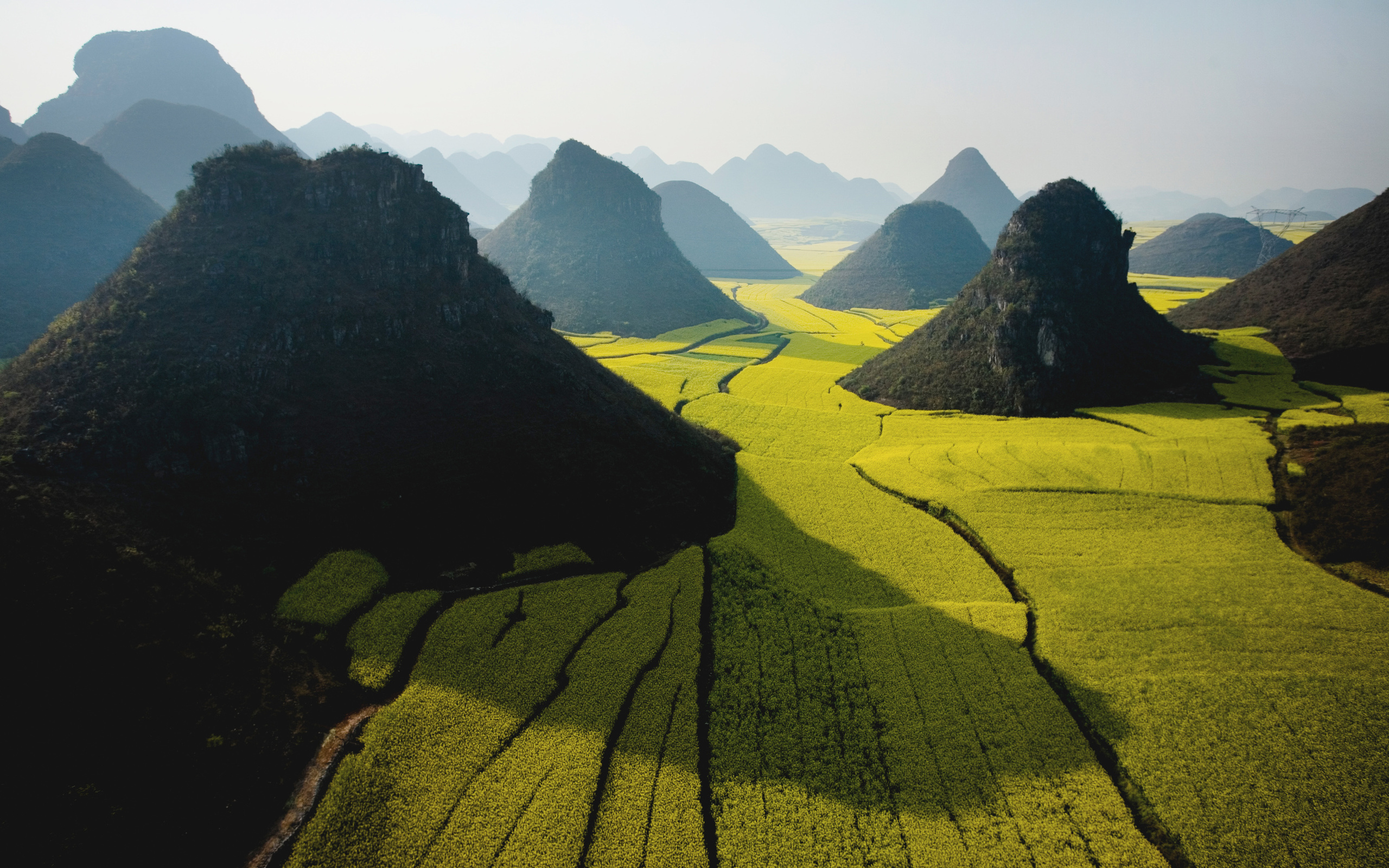 sky, mountain, field, apple, Green, wide