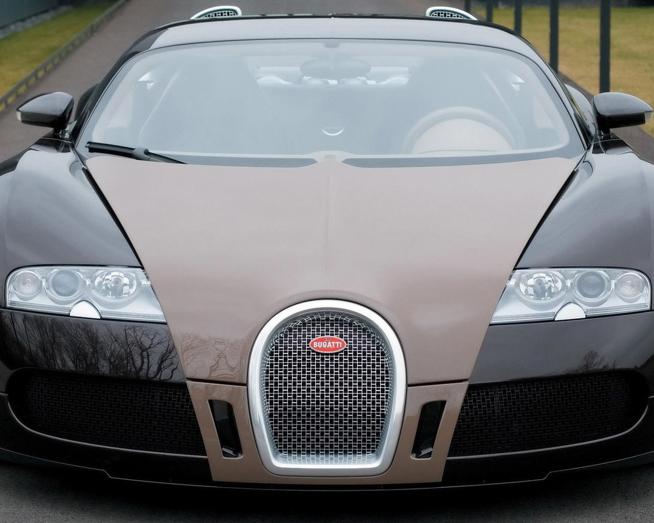 , , , , bugatti, veyron