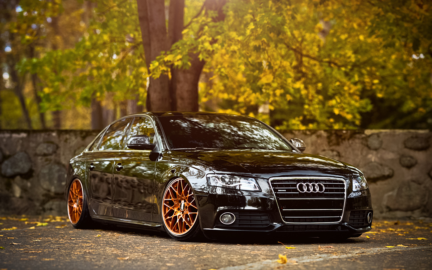 audi b8, , , , , , 