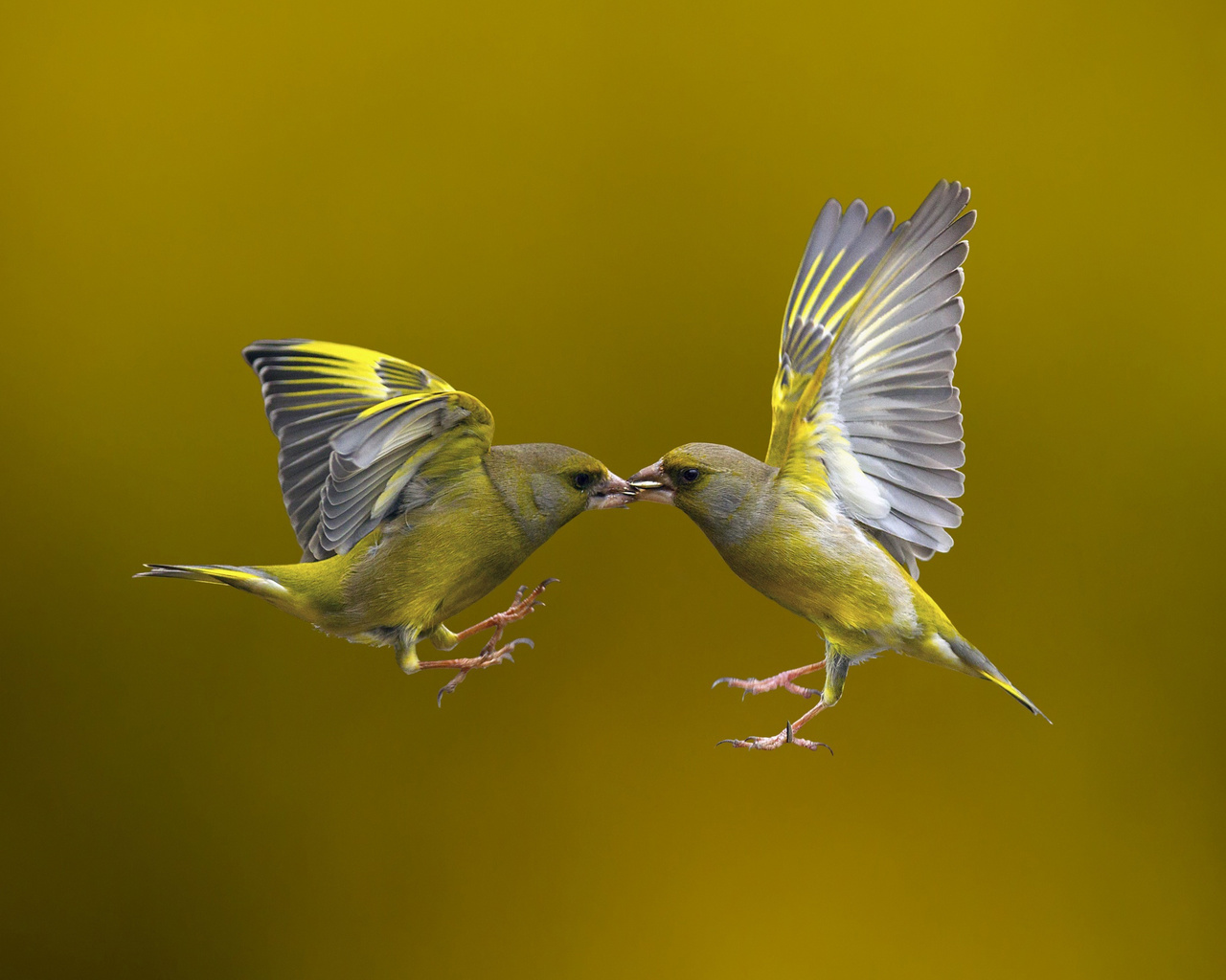 flying kiss, , , 