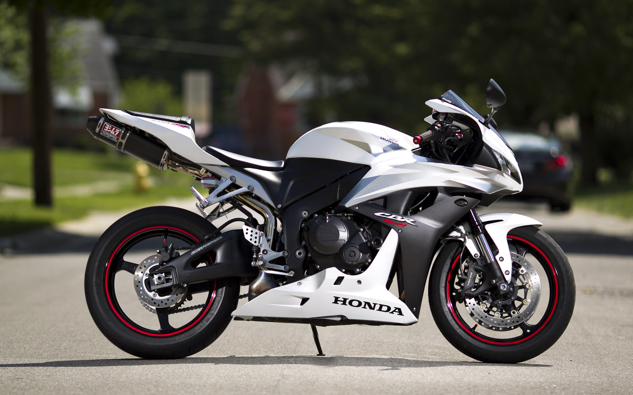 honda, cbr600rr, white, , , , 