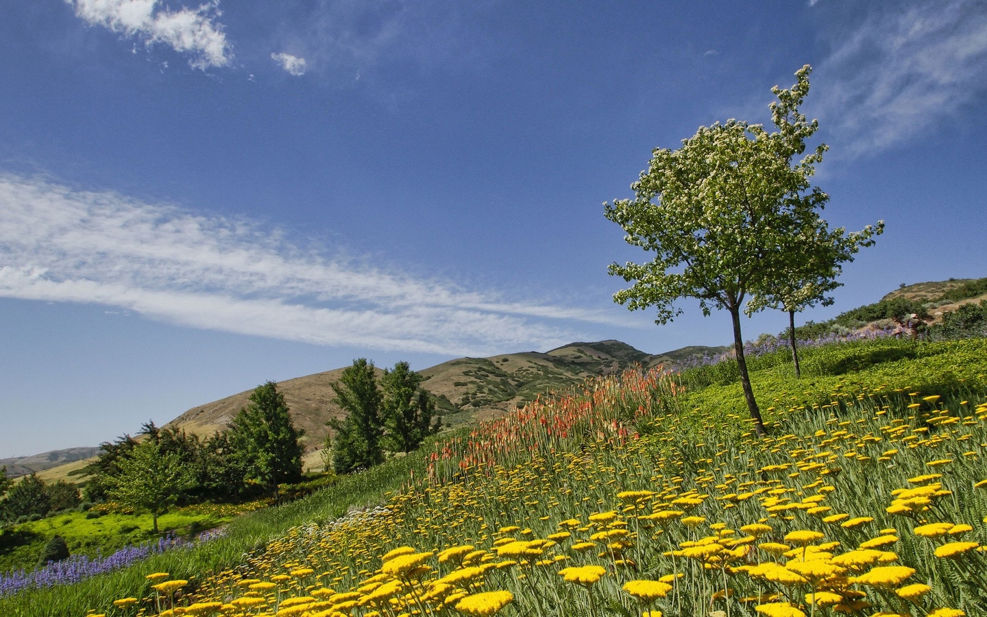 red butte garden, salt lake city, utah,  , , , 