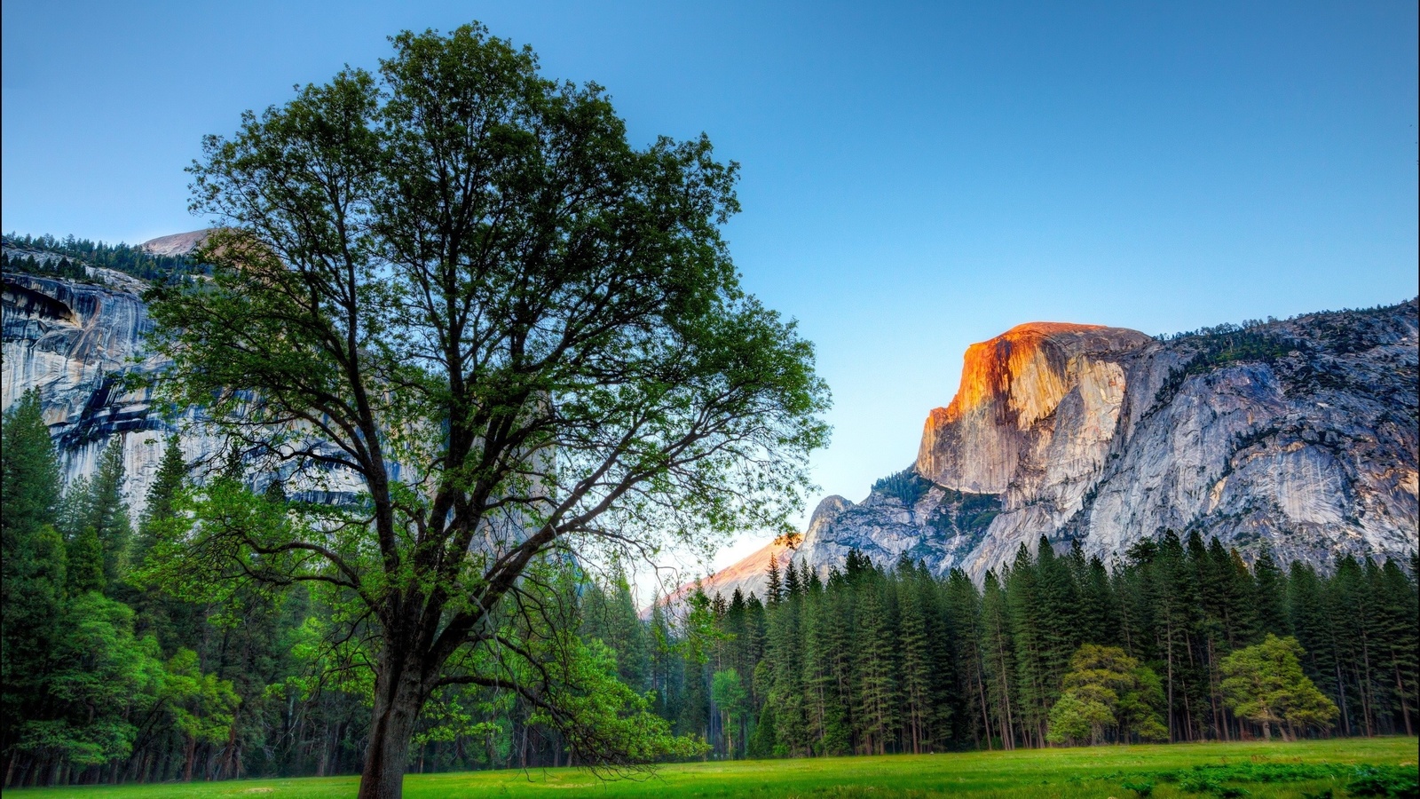 yosemite national park, , , , , 