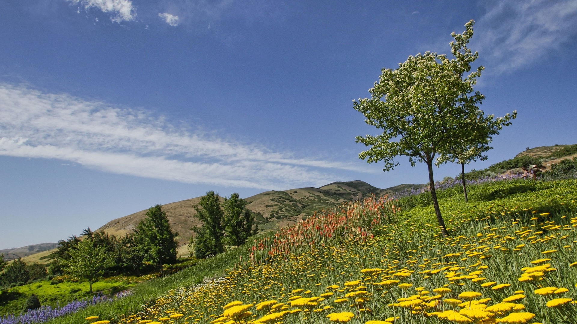 red butte garden, salt lake city, utah,  , , , 