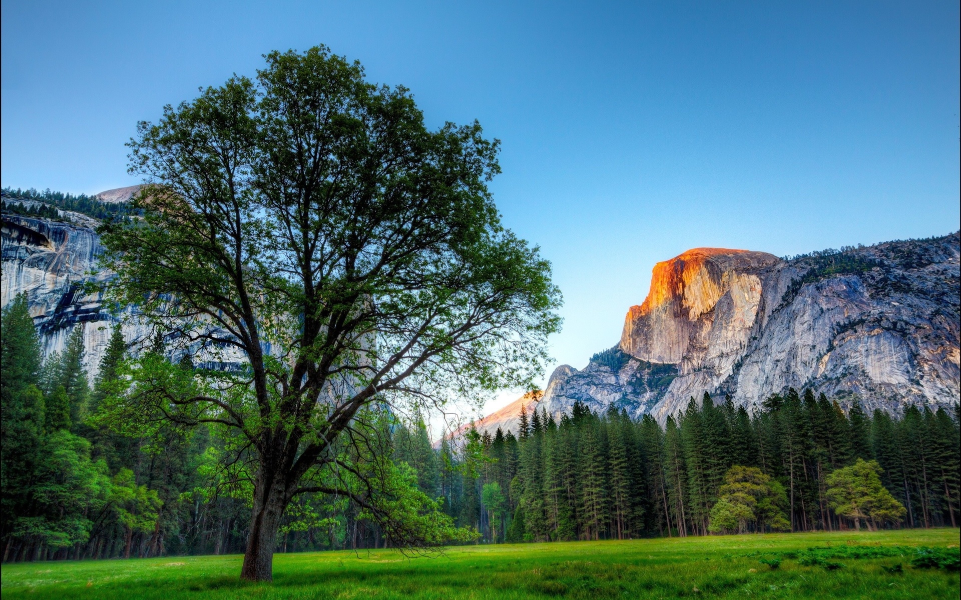 yosemite national park, , , , , 