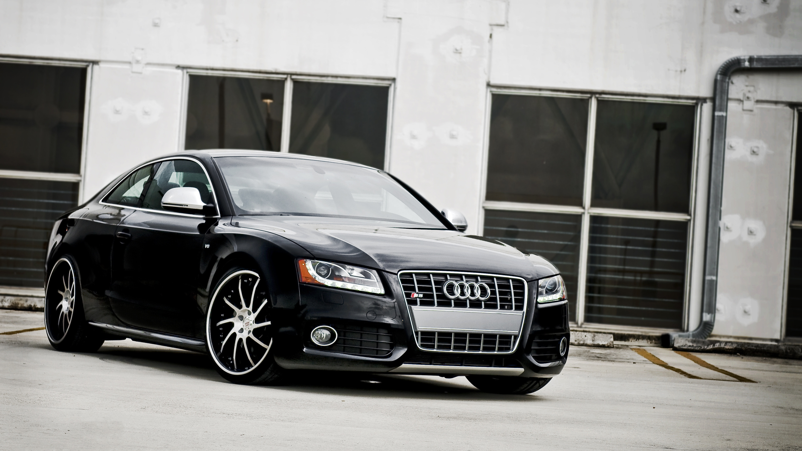 audi s5, , , , , , quattro