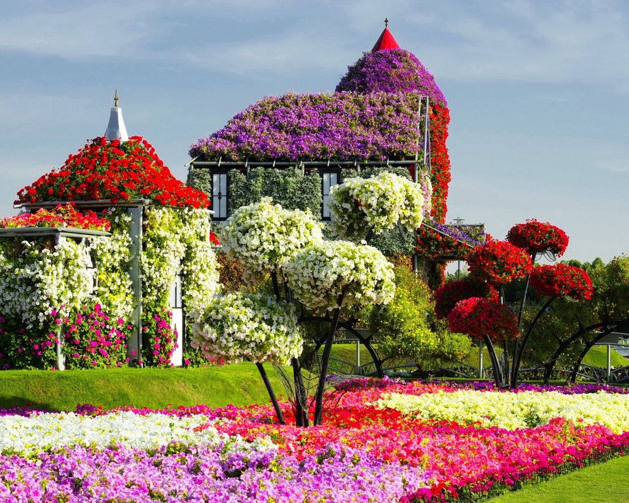   , , , miracle garden, dubai, , 