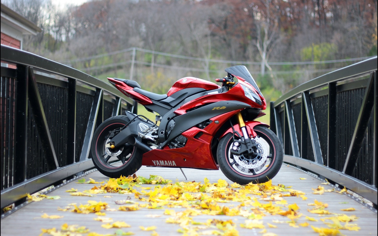 yamaha, yzf-r6, red, bridge, , , , , , , 