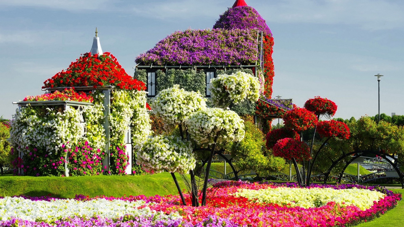   , , , miracle garden, dubai, , 