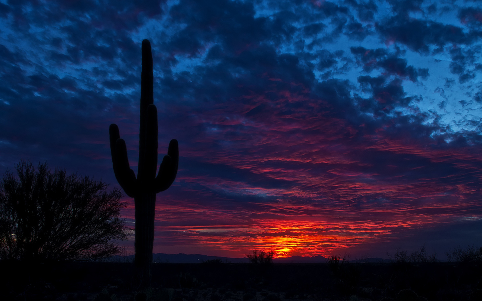 tucson, arizona, , , 