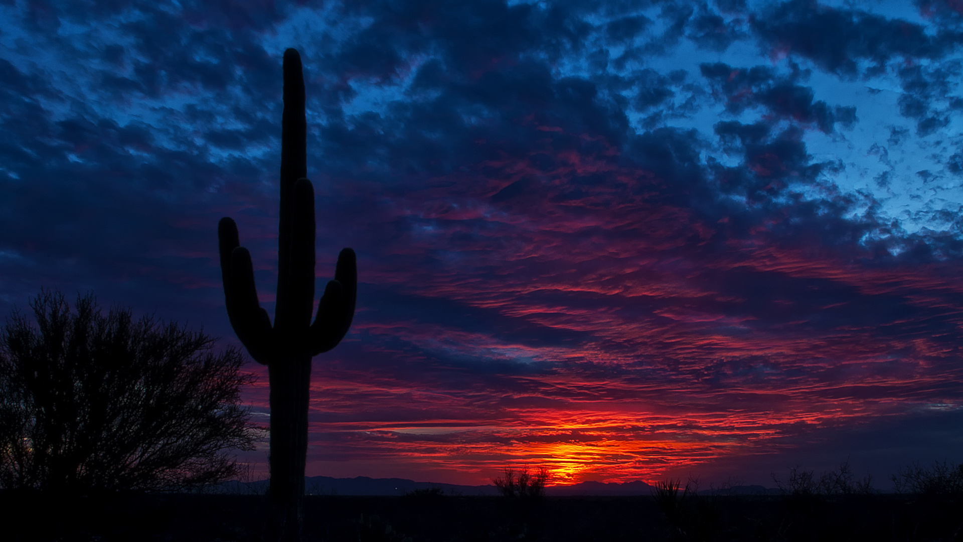 tucson, arizona, , , 