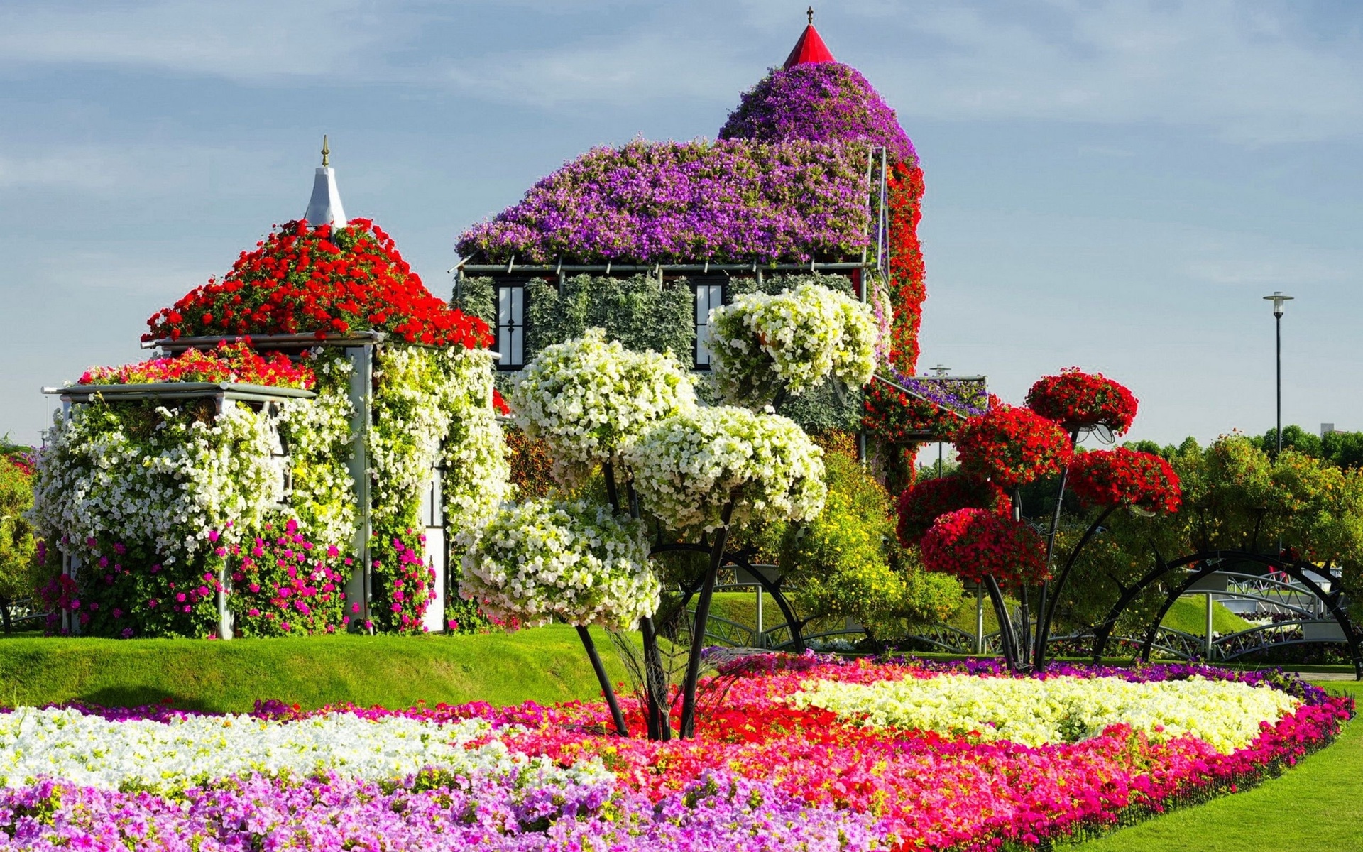   , , , miracle garden, dubai, , 