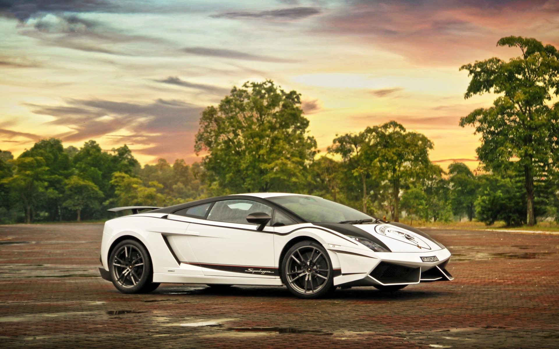 lamborghini, , gallardo, , , , , , , 