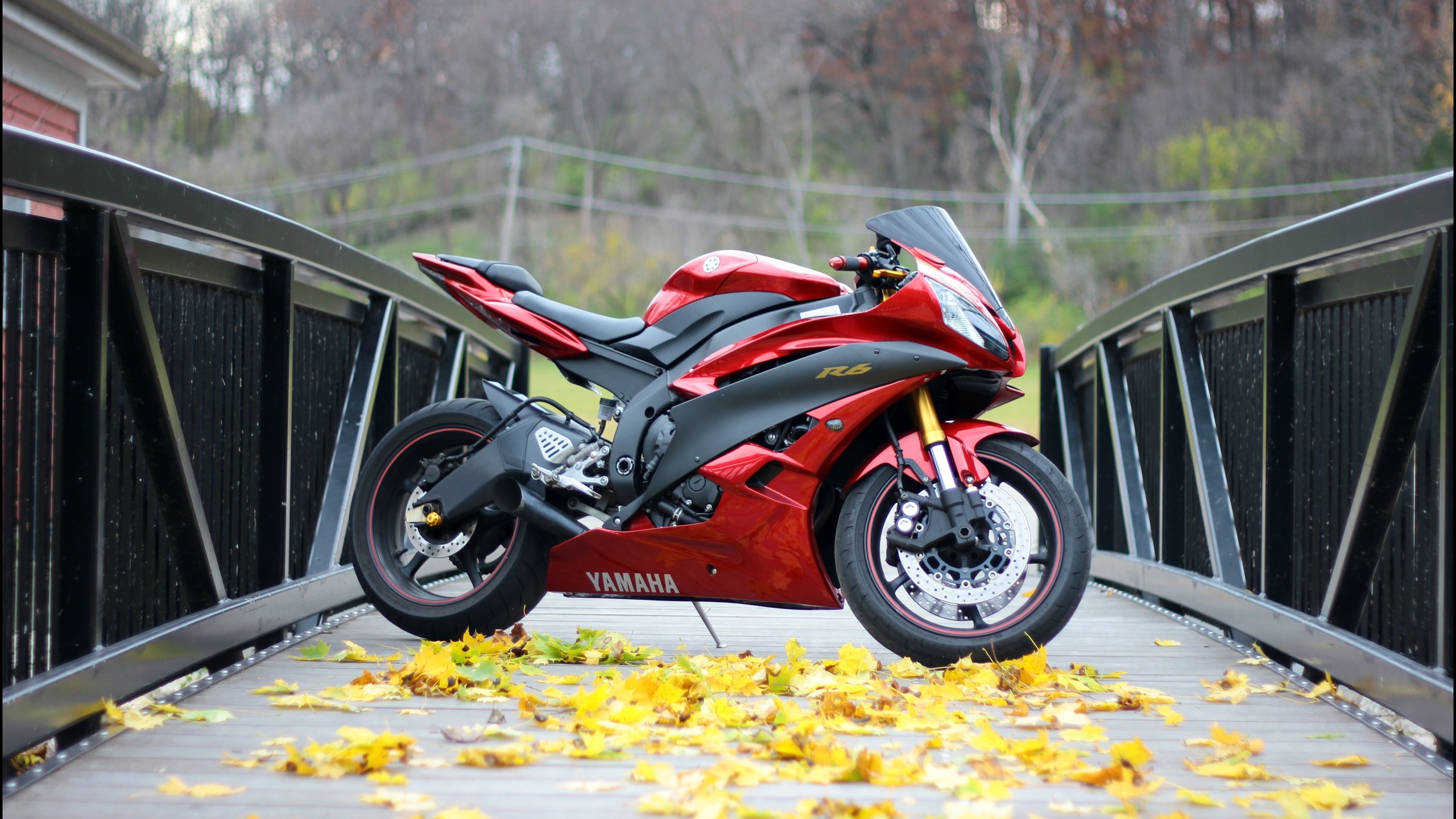 yamaha, yzf-r6, red, bridge, , , , , , , 