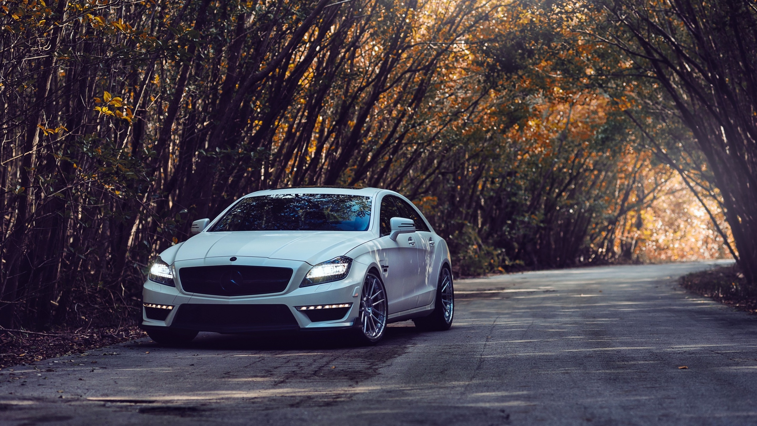 cls 63 amg, mercedes