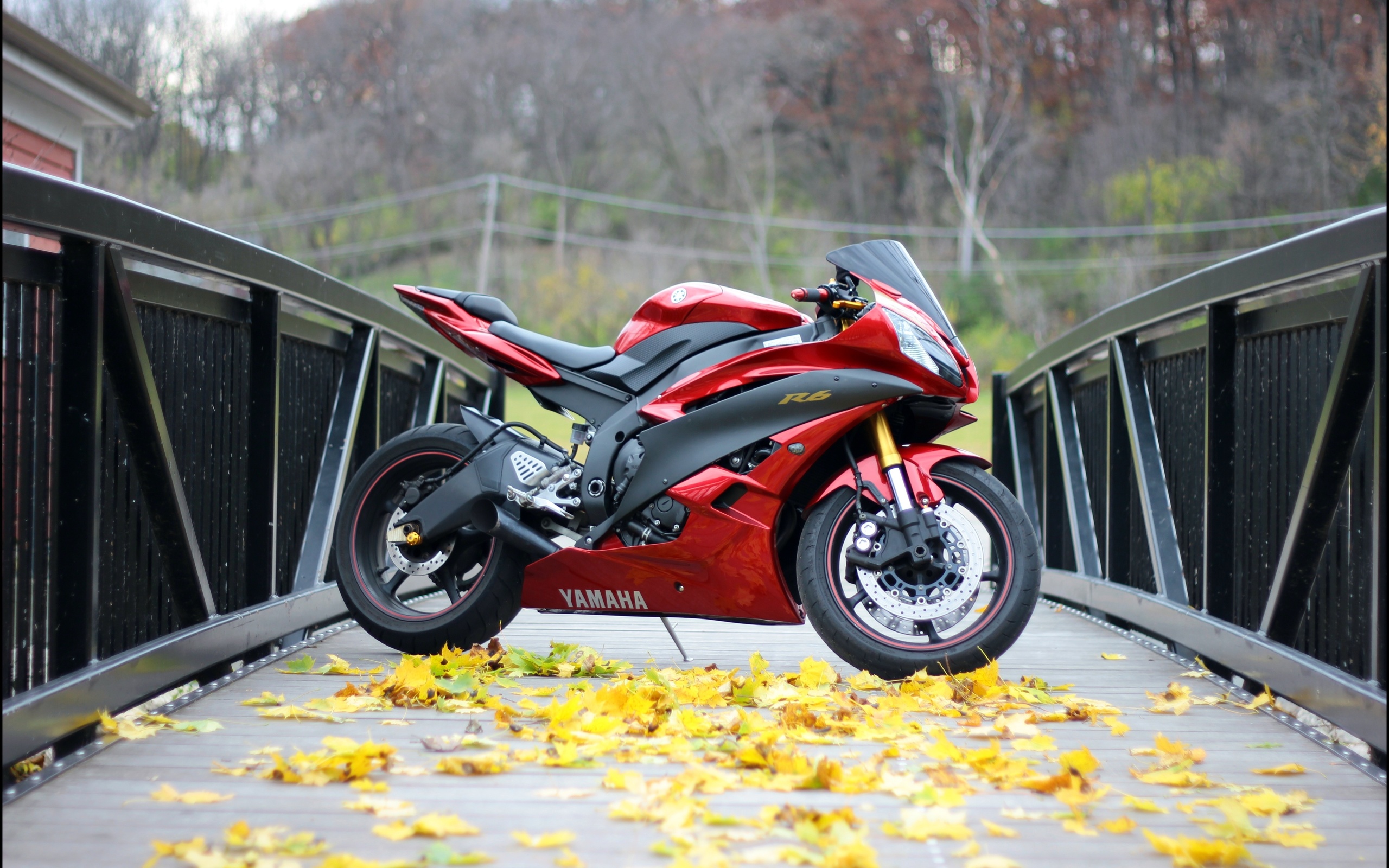 yamaha, yzf-r6, red, bridge, , , , , , , 