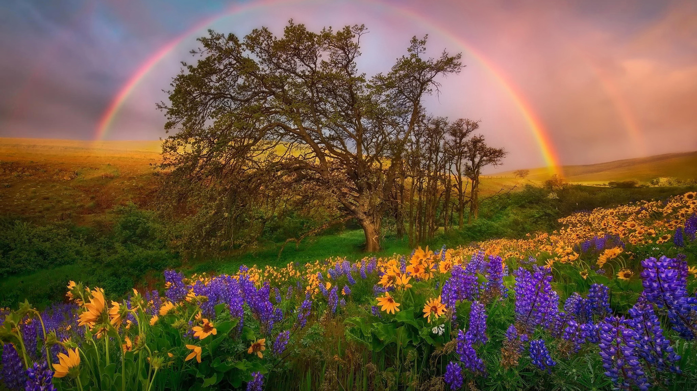  ,  ,  , , , , , , , , marc adamus